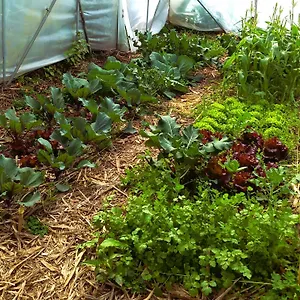 Arambha Ecovillage Camping